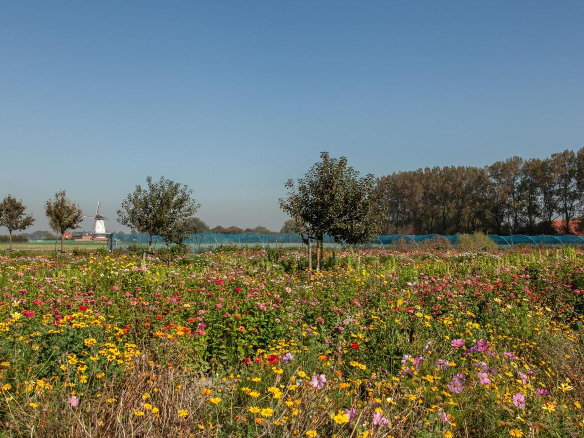Vakantiehuis Appealing With Garden
